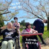 4月お花見ドライブ（垂水公園）
